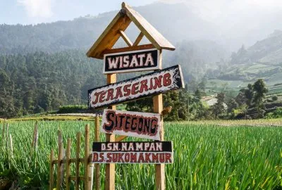 Panduan Praktis Mendapatkan Organic Traffic: Dari Nol ke Puncak