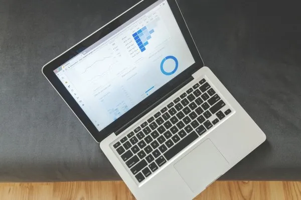 Menggali Potensi Traffic Organik: Kunci Kesuksesan Digital Marketing