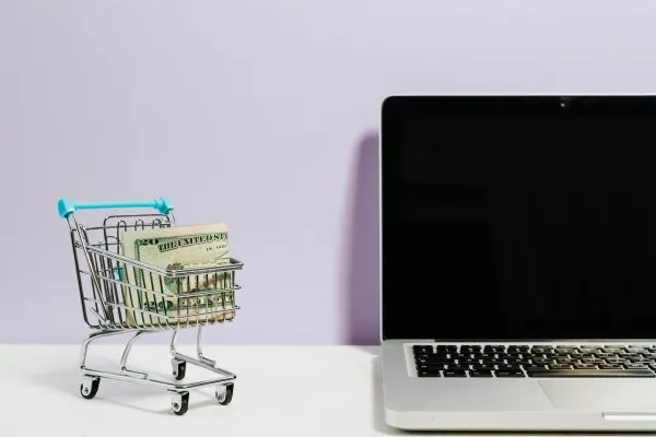 Monetisasi Website: Cara Cerdas Membangun Pendapatan Digital