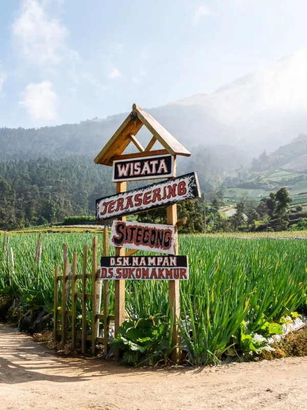 Panduan Praktis Mendapatkan Organic Traffic: Dari Nol ke Puncak