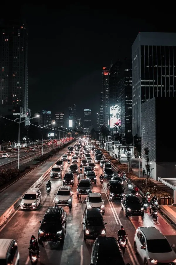 Membongkar Rahasia Traffic Organik yang Nyata