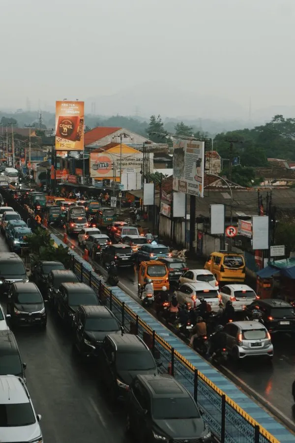 Mendongkrak Traffic Organik: Apa yang Perlu Kamu Tahu